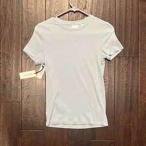 Aritzia homestretch tee